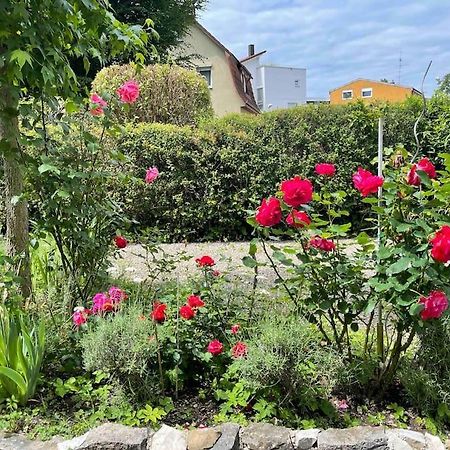 Fewo Apartment Lake Of Constance Friedrichshafen Luaran gambar